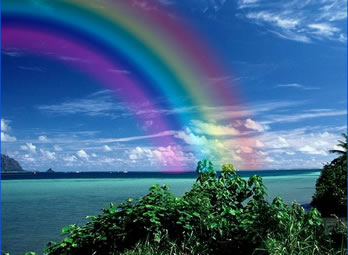 Binary options exponential moving average rainbow strategy