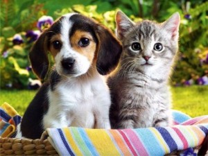 Best Friends