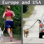 usa vs europe walking dogs