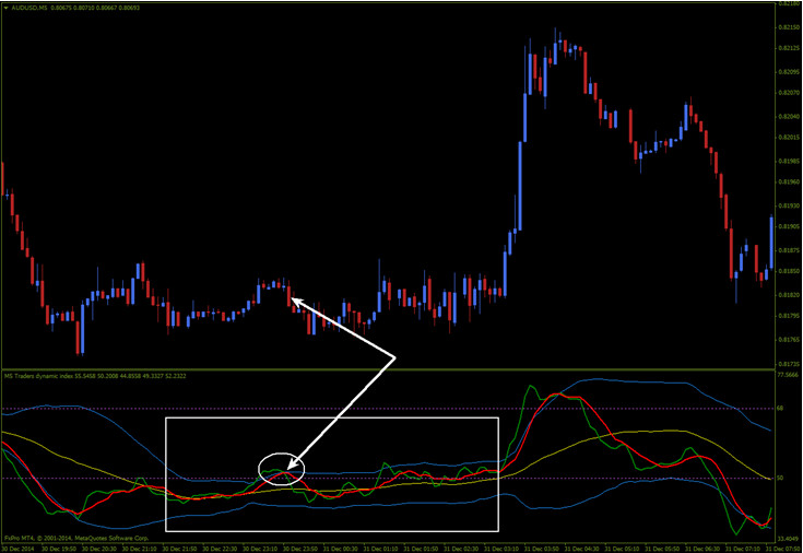 Traders’ Dynamic tool for trading preview