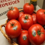 Okane's Home Grown Tomatos