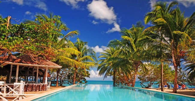 Antigua Beach and Coconut Trees