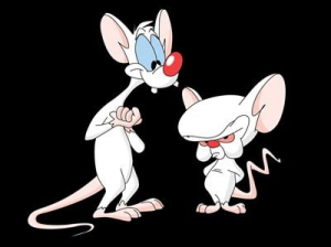 Pinky and the Brain Strategy