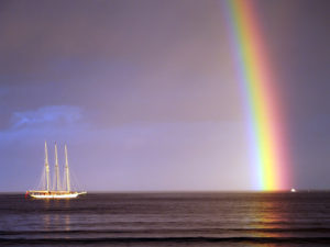 Storm is over, time to trade again