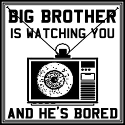 Big Brother Watching You!