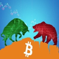 bulls and bears of crypto trading